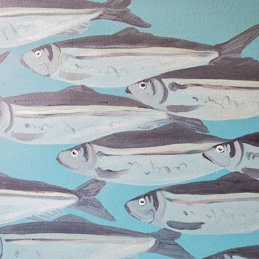 No. 31 Smudge Herring