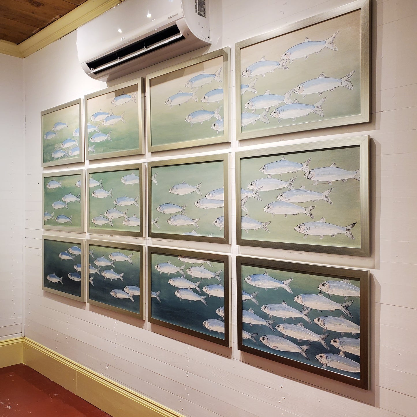 (School of) Smudge Herring