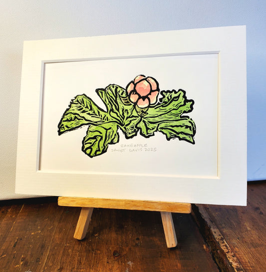 Norton's Cove Mini-Print with Watercolour in the Bakeapple design, copyright Janet Davis 2025 Norton's Cove Studio Inc.