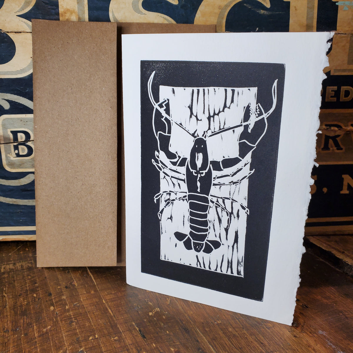 Norton's Cove Cards