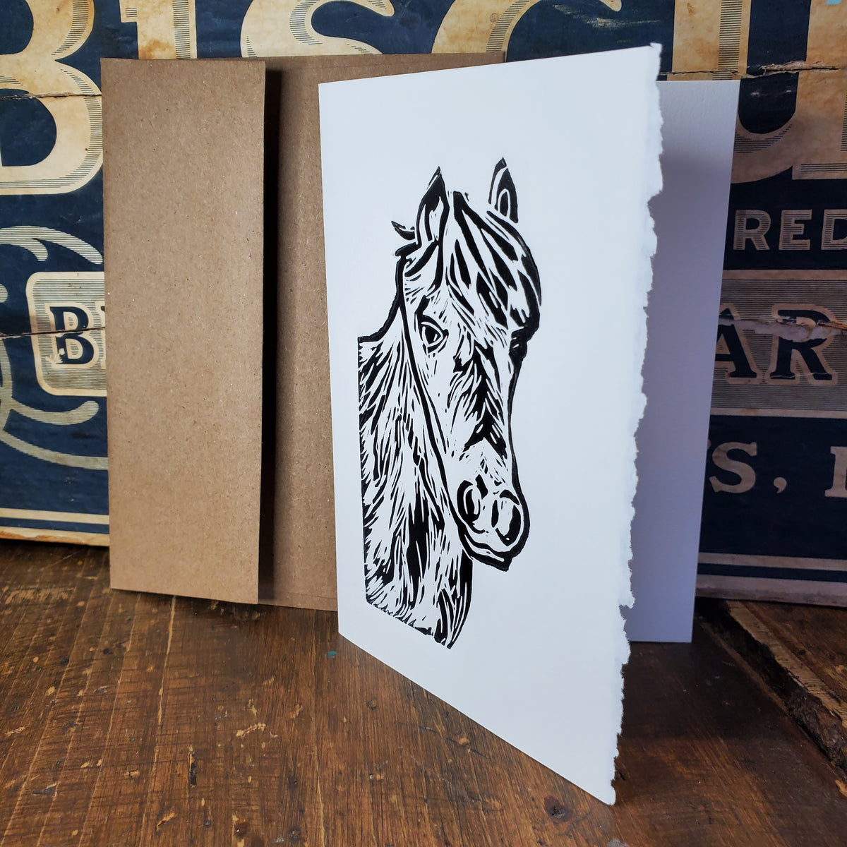 Norton's Cove Cards