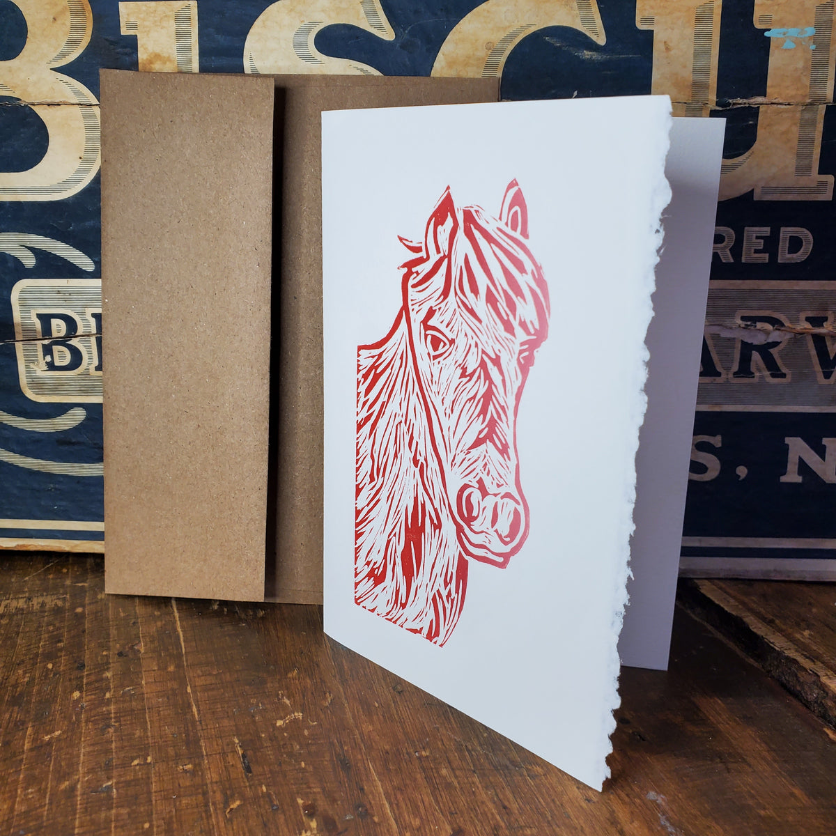 Norton's Cove Cards