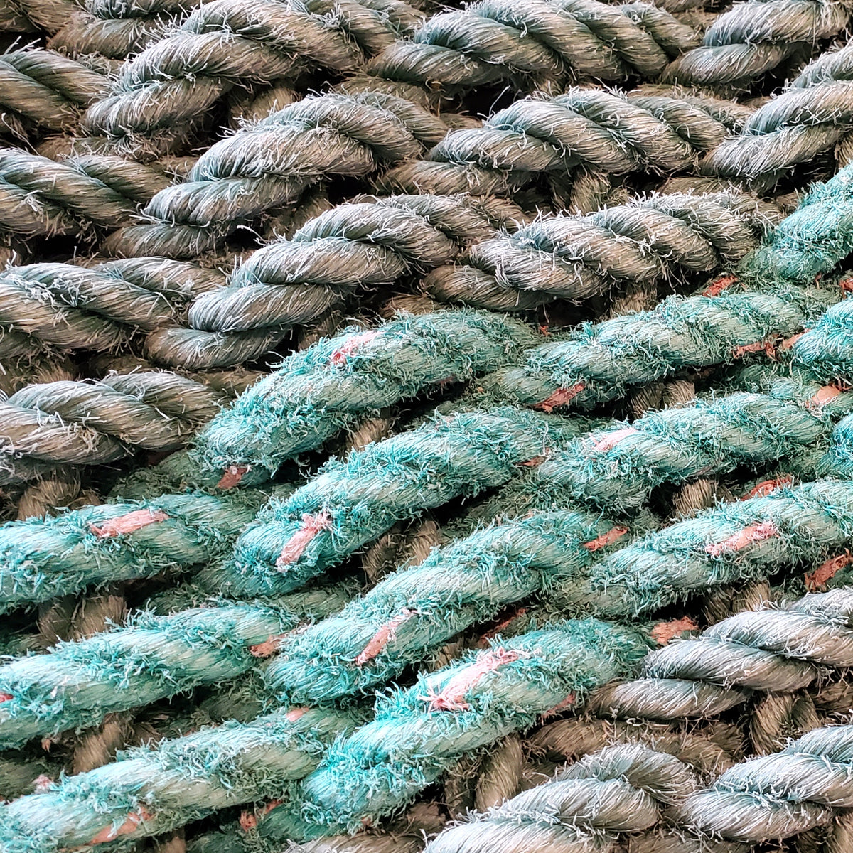 Norton's Cove Knots