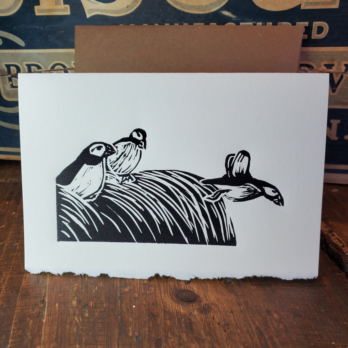 Puffins