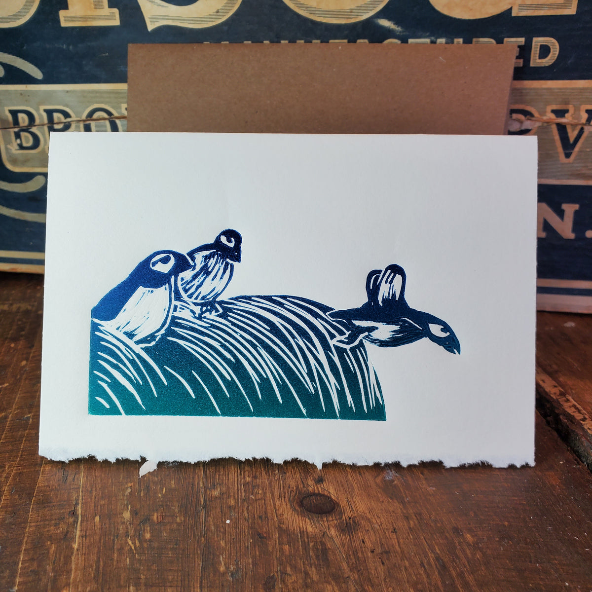 Puffins