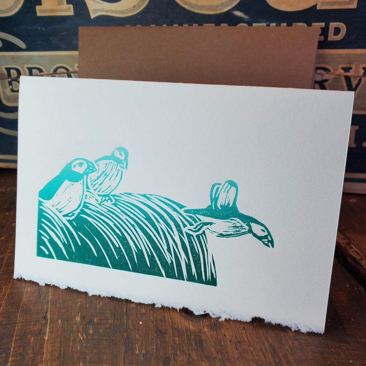 Puffins