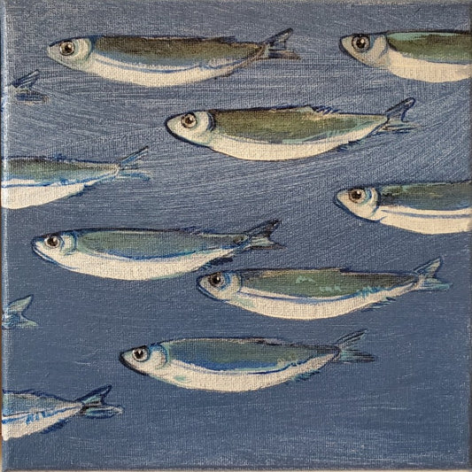 No. 91 Smudge Herring