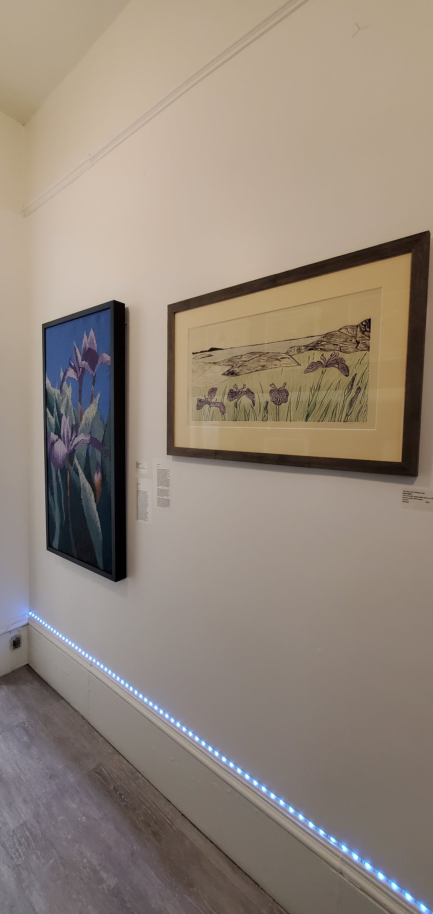 The View from Shallop Cove