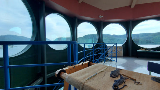 My view of the tickle in beautiful Bonne Bay today