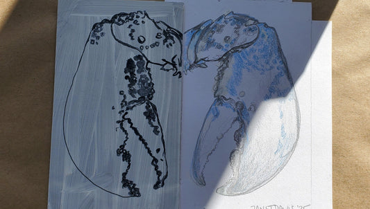 BBARS Art & Science Residency