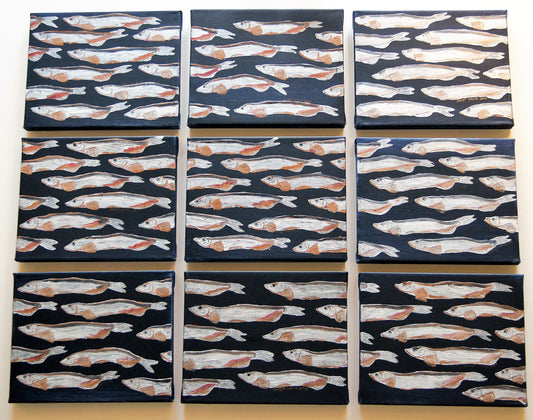 Dried Caplin painted on 9  8x10" panels.  Silvery fish on a dark blue/black background.  Acrylic paint on canvas.  Janet Davis 2014.