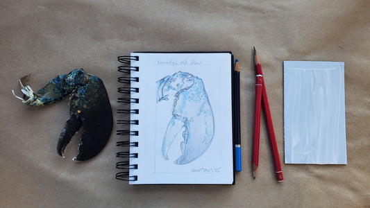 BBARS Art & Science Residency