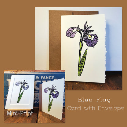 Blue Flag