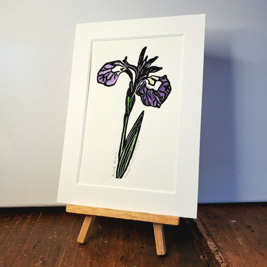 Norton's Cove Mini-Prints