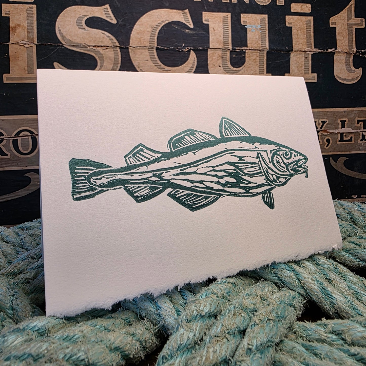 Codfish