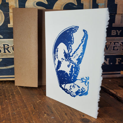 Norton's Cove Cards