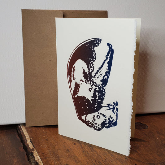 Lobster Lefty design printed as a Norton's Cove Card in a red-blue rainbow roll, shown with Kraft envelope on a wooden counter and a white stretched canvas as a backdrop.
