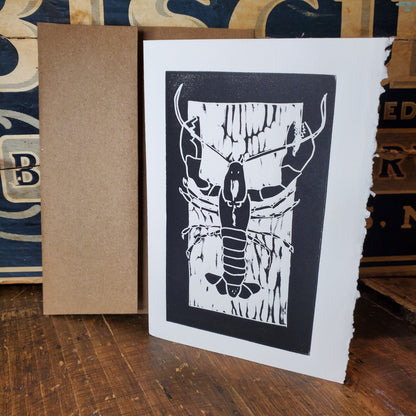 Norton's Cove Cards