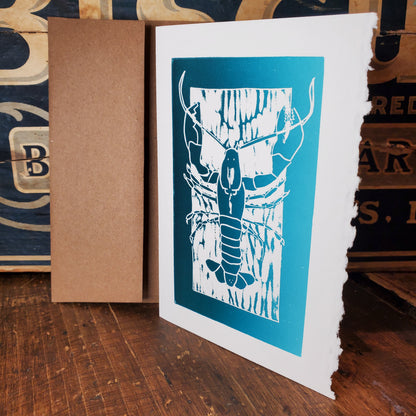 Norton's Cove Cards