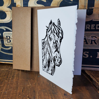 Norton's Cove Cards
