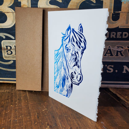 Norton's Cove Cards