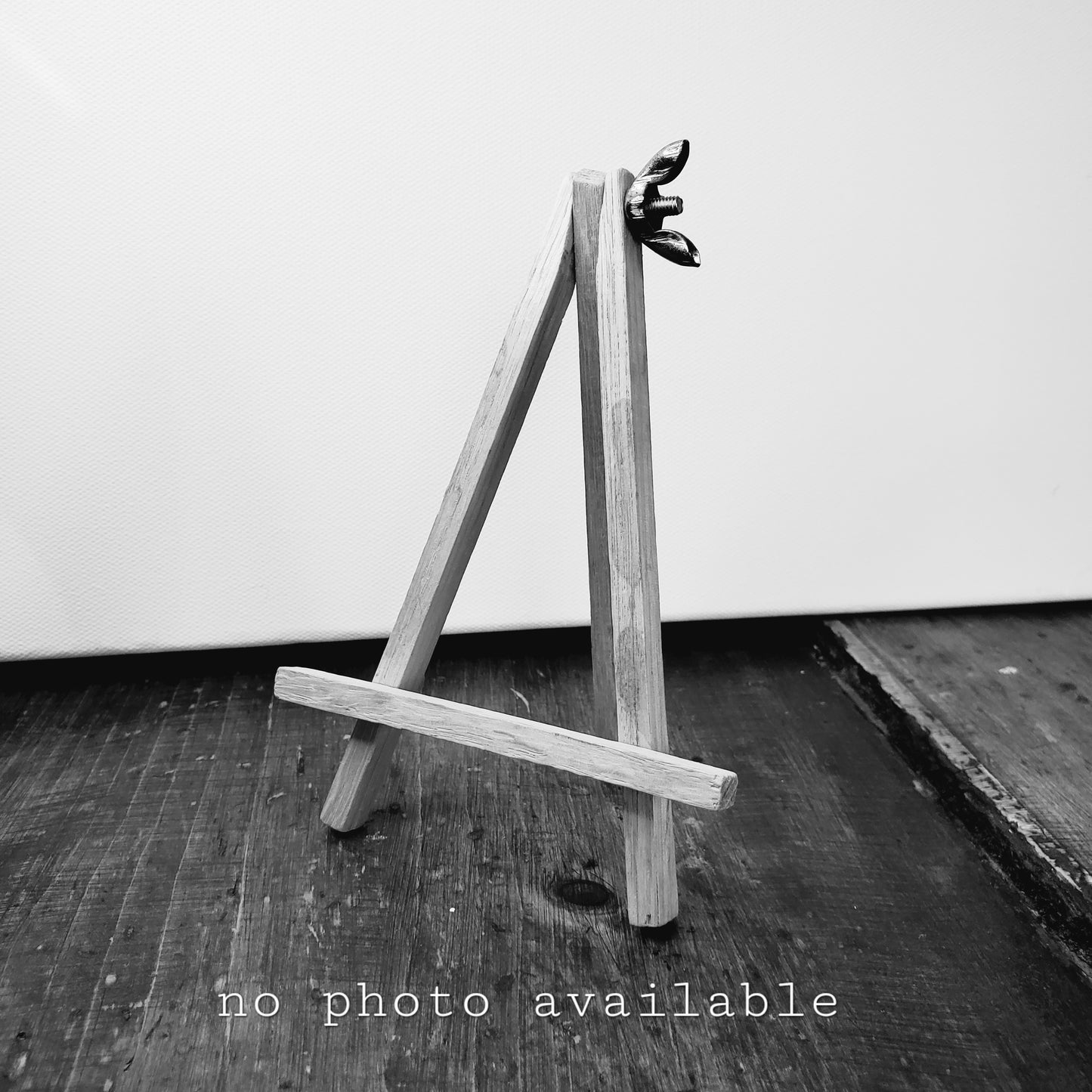 Norton's Cove Mini-Prints