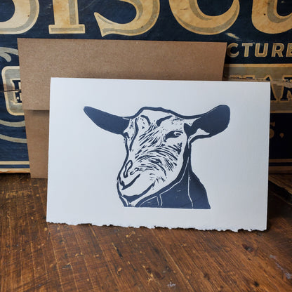 Norton's Cove Cards