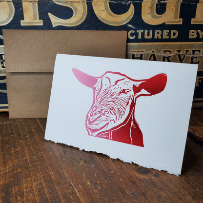 Norton's Cove Cards