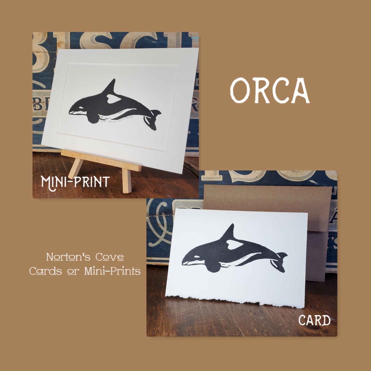 Orca
