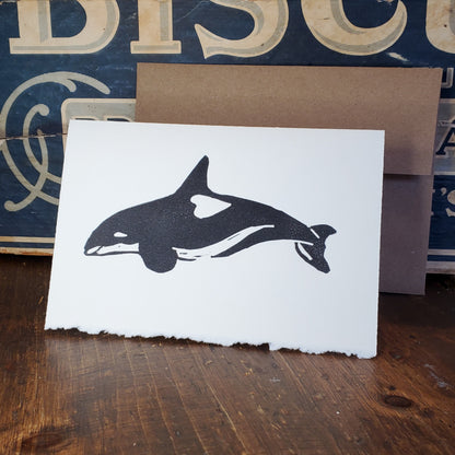 Orca