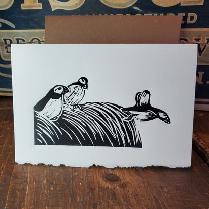 Norton's Cove Cards