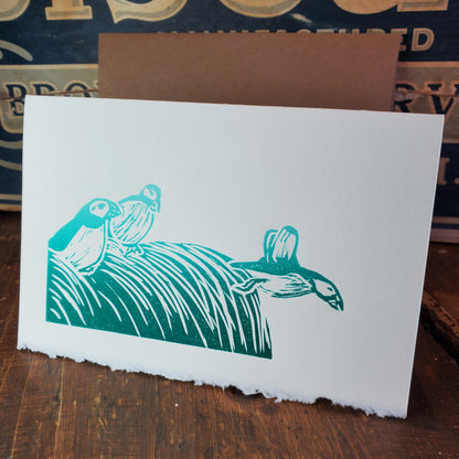 Norton's Cove Cards