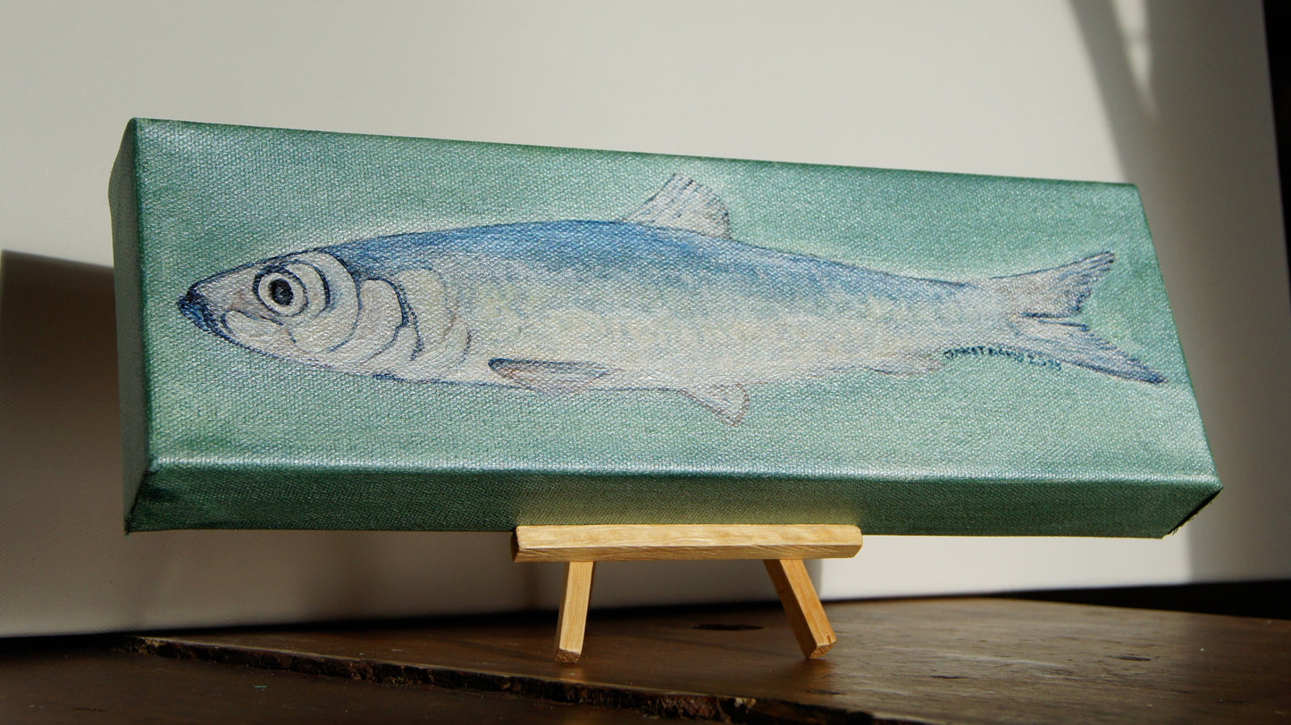 No. 92 Smudge Herring