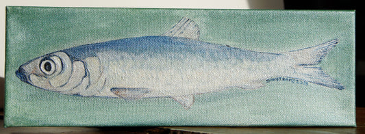 No. 92 Smudge Herring