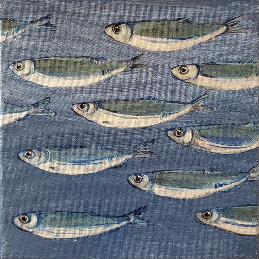 No. 91 Smudge Herring