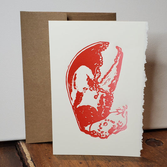 Lobster Claw lino-cut image by Janet Davis.
