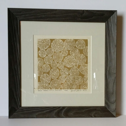 Beach Series: Sand Dollars