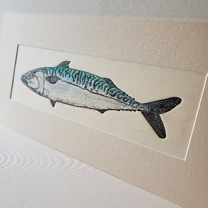 Holy Mackerel