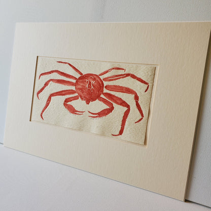 Snow Crab