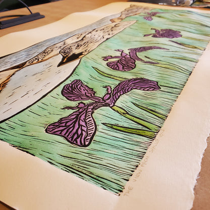 The View from Shallop Cove