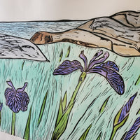 The View from Shallop Cove