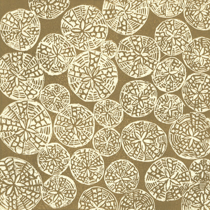 Beach Series: Sand Dollars