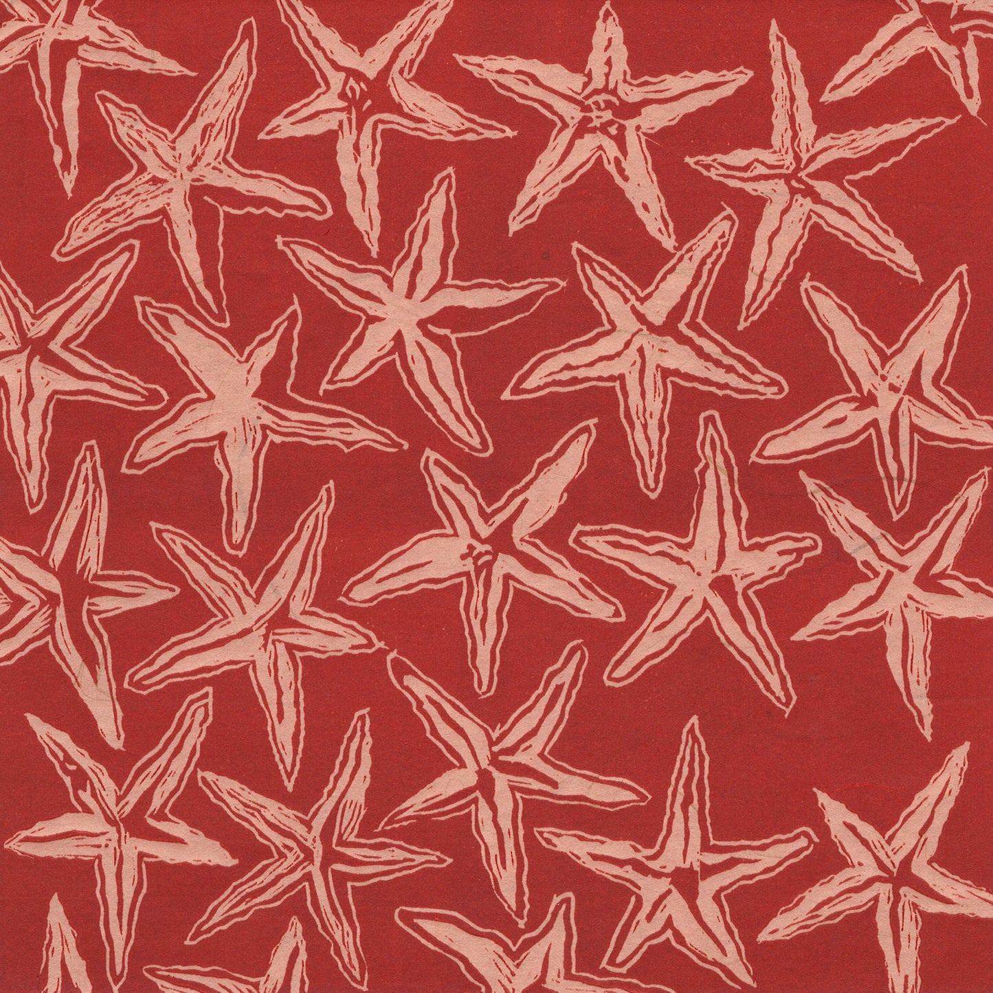 Beach Series: Starfish
