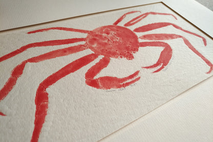Snow Crab