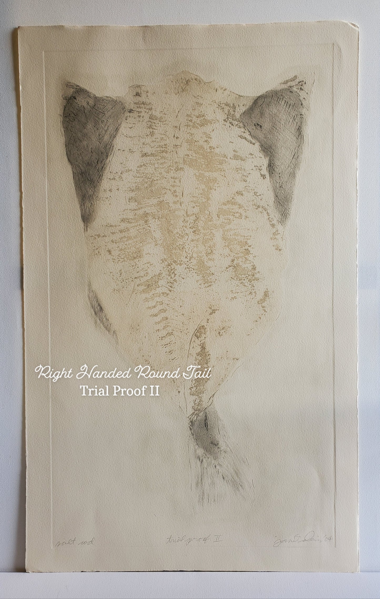 Trial Proof II: Right Handed Round Tail, Etching by Janet Davis.  Unmounted.